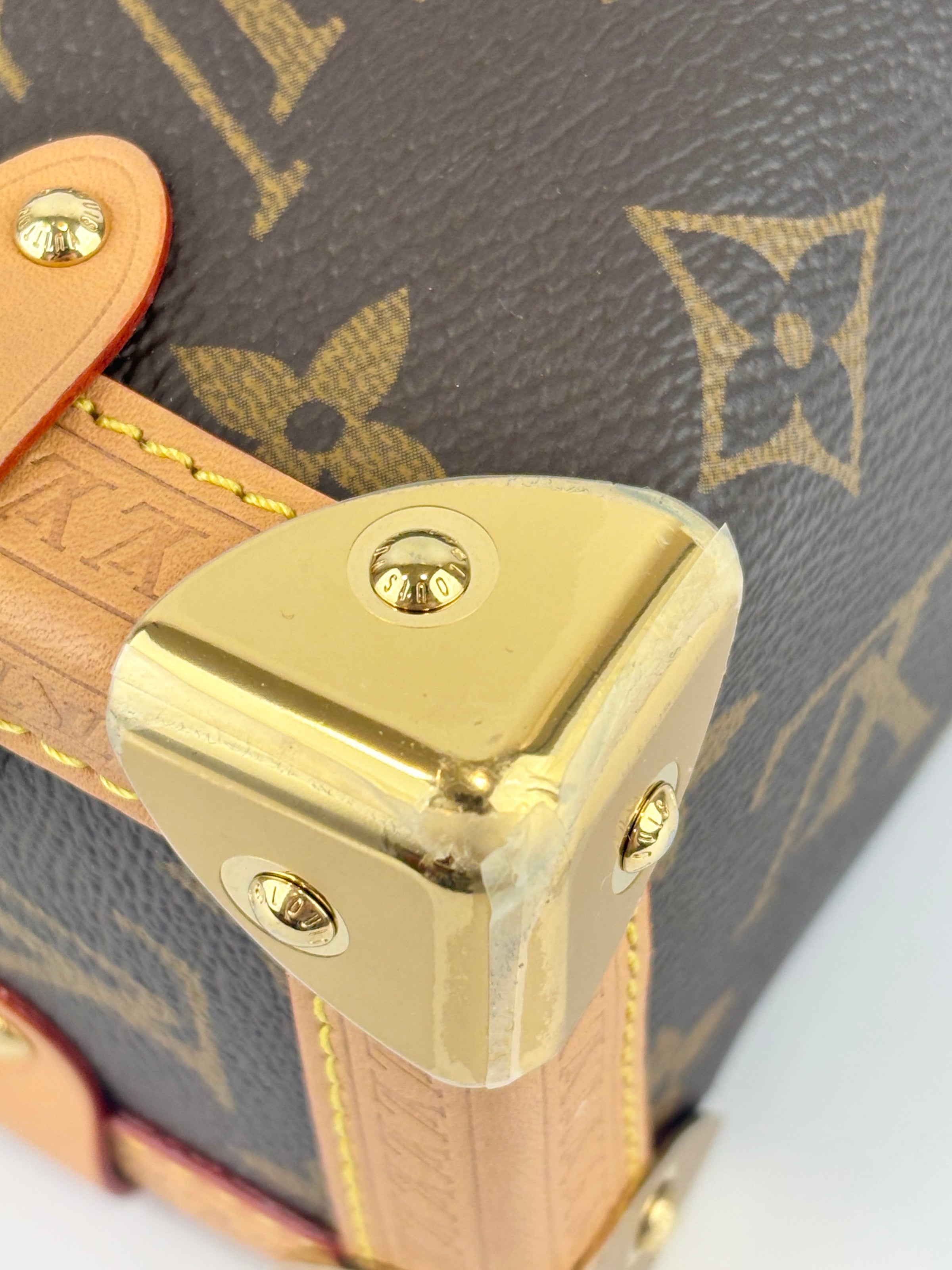 Side Trunk MM Monogram Canvas (RFID)