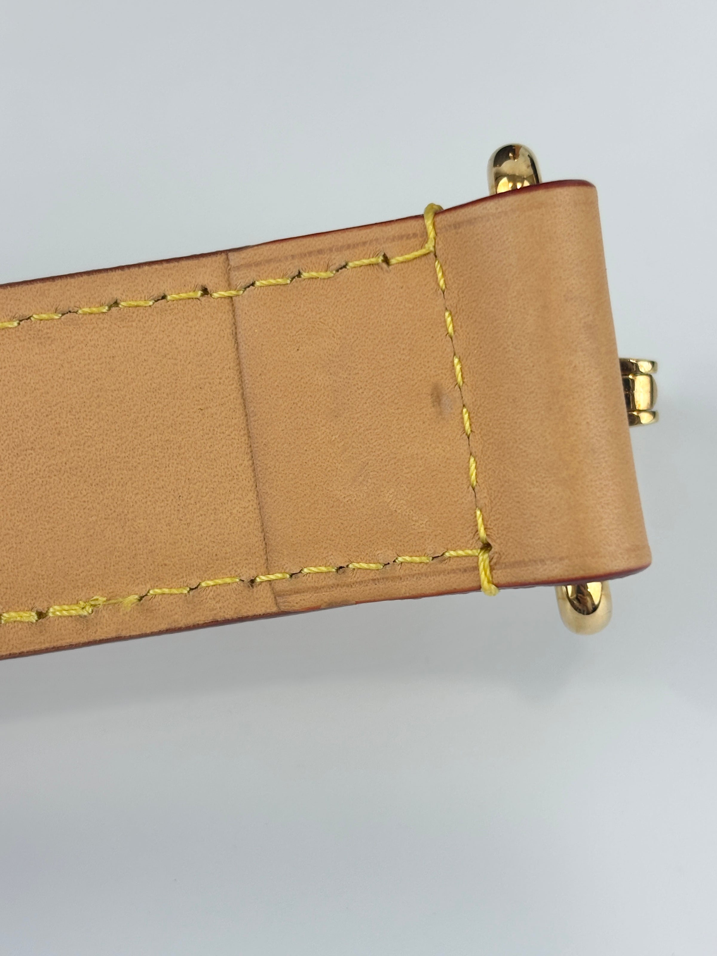 Side Trunk MM Monogram Canvas (RFID)