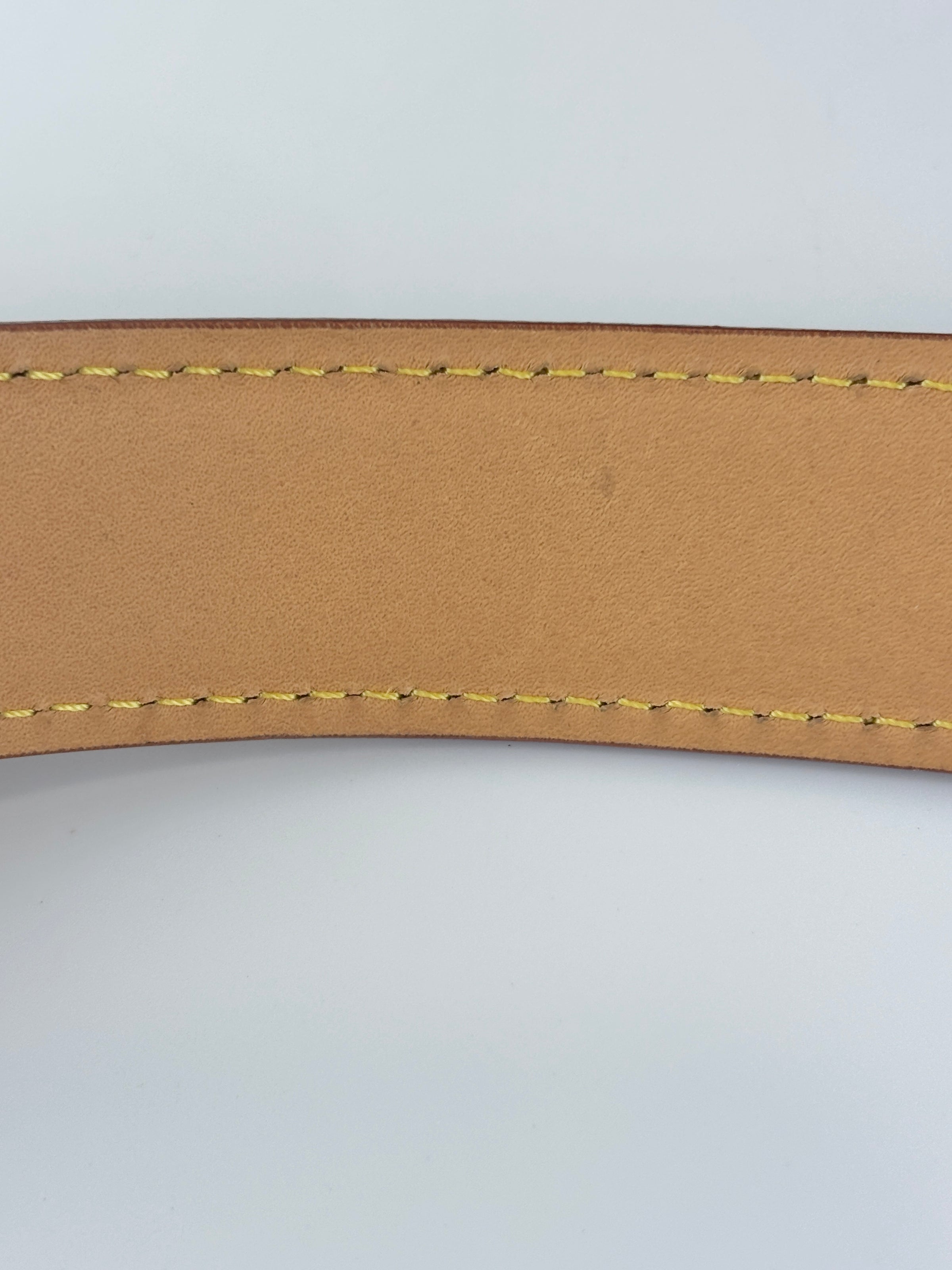 Side Trunk MM Monogram Canvas (RFID)