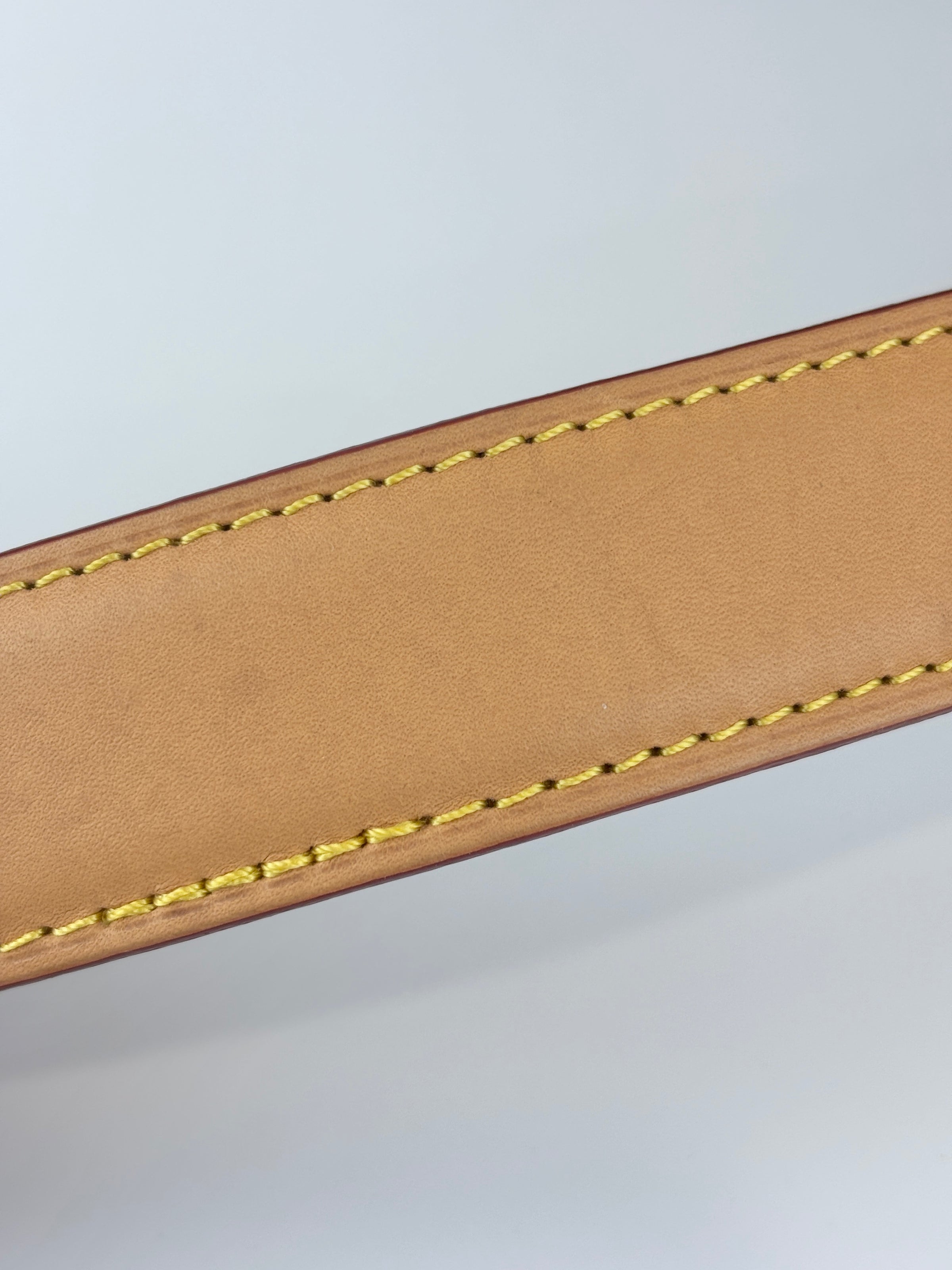 Side Trunk MM Monogram Canvas (RFID)