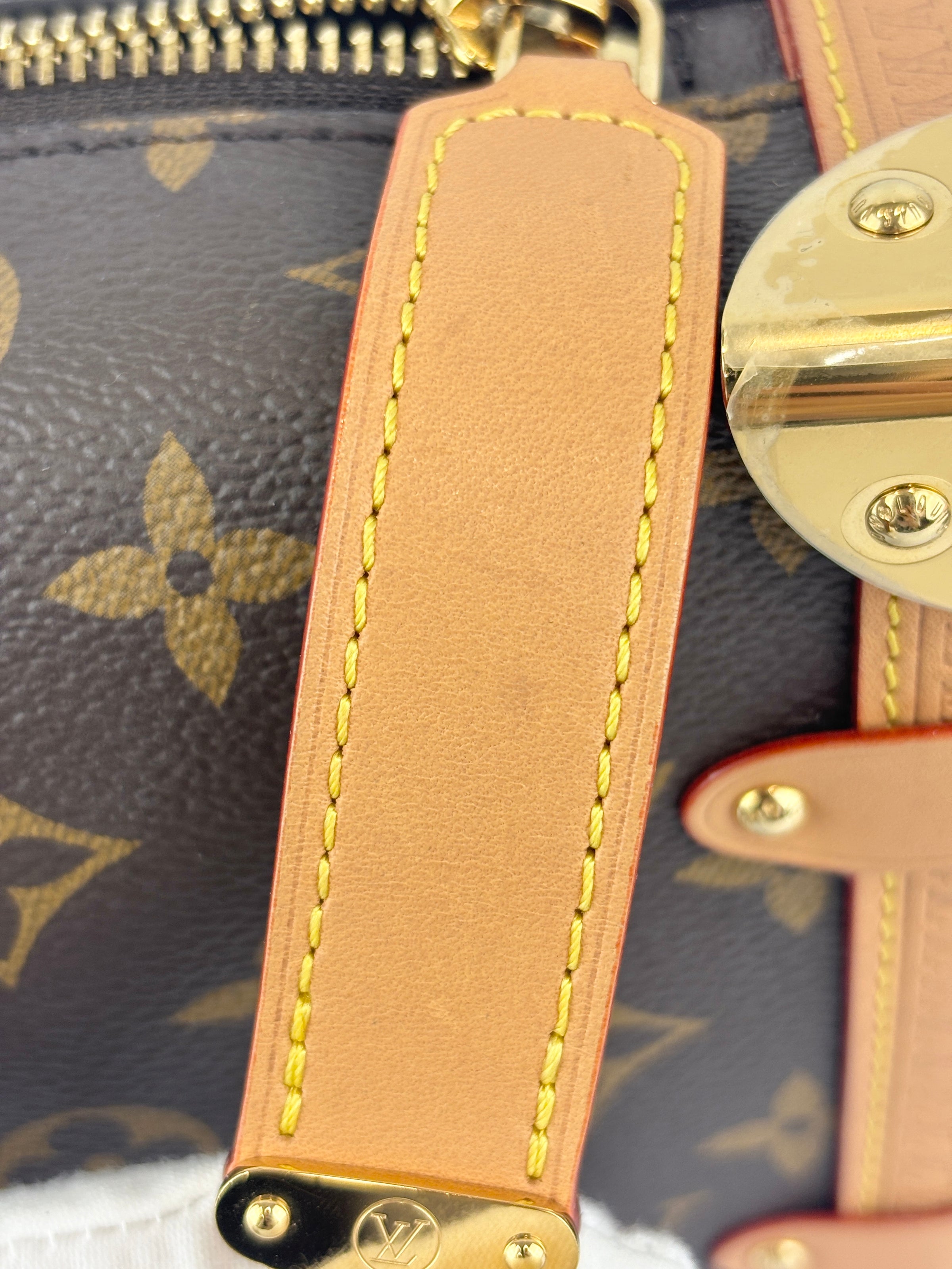 Side Trunk MM Monogram Canvas (RFID)
