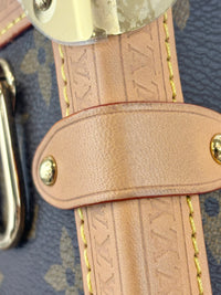 Side Trunk MM Monogram Canvas (RFID)