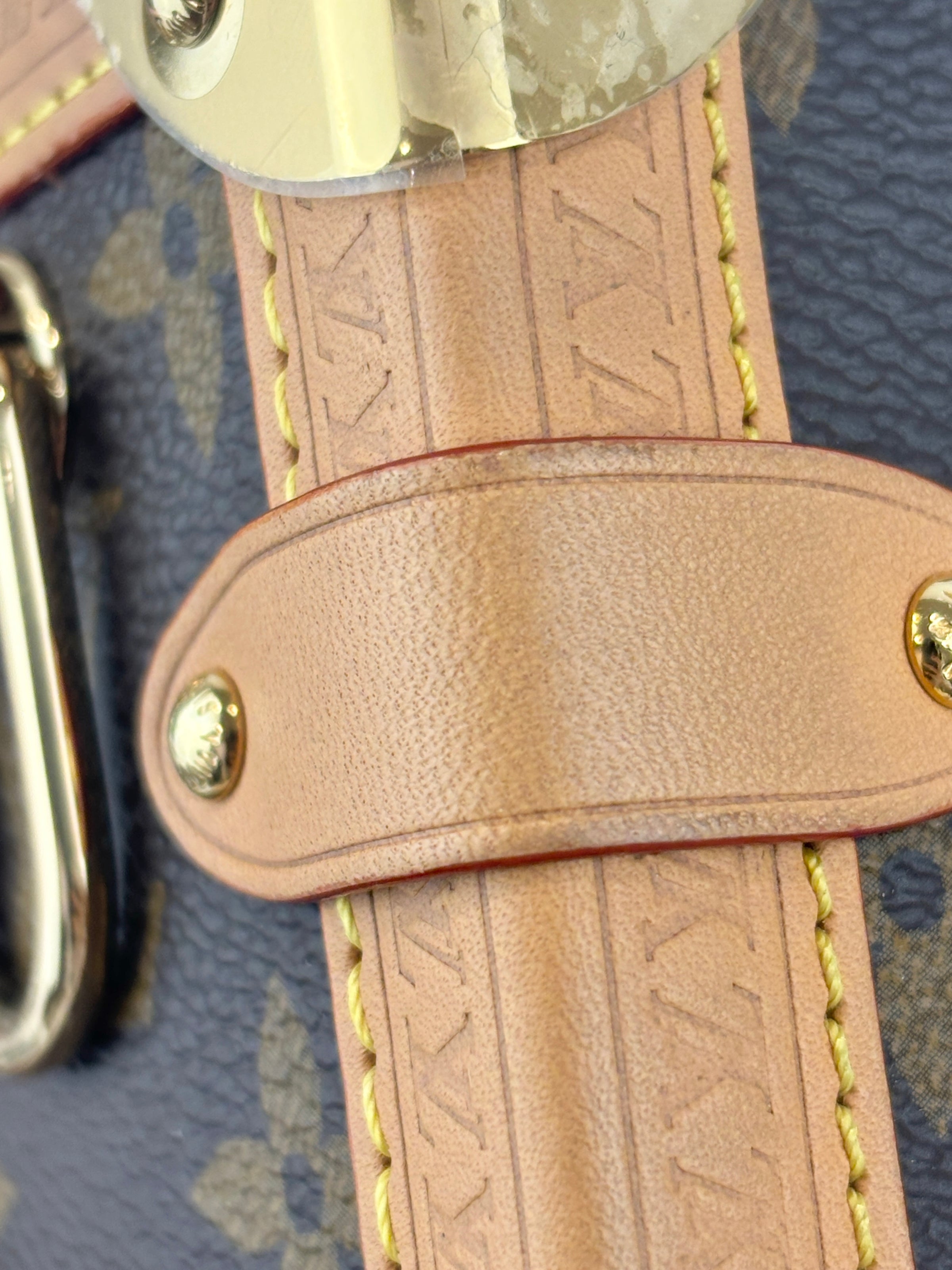 Side Trunk MM Monogram Canvas (RFID)