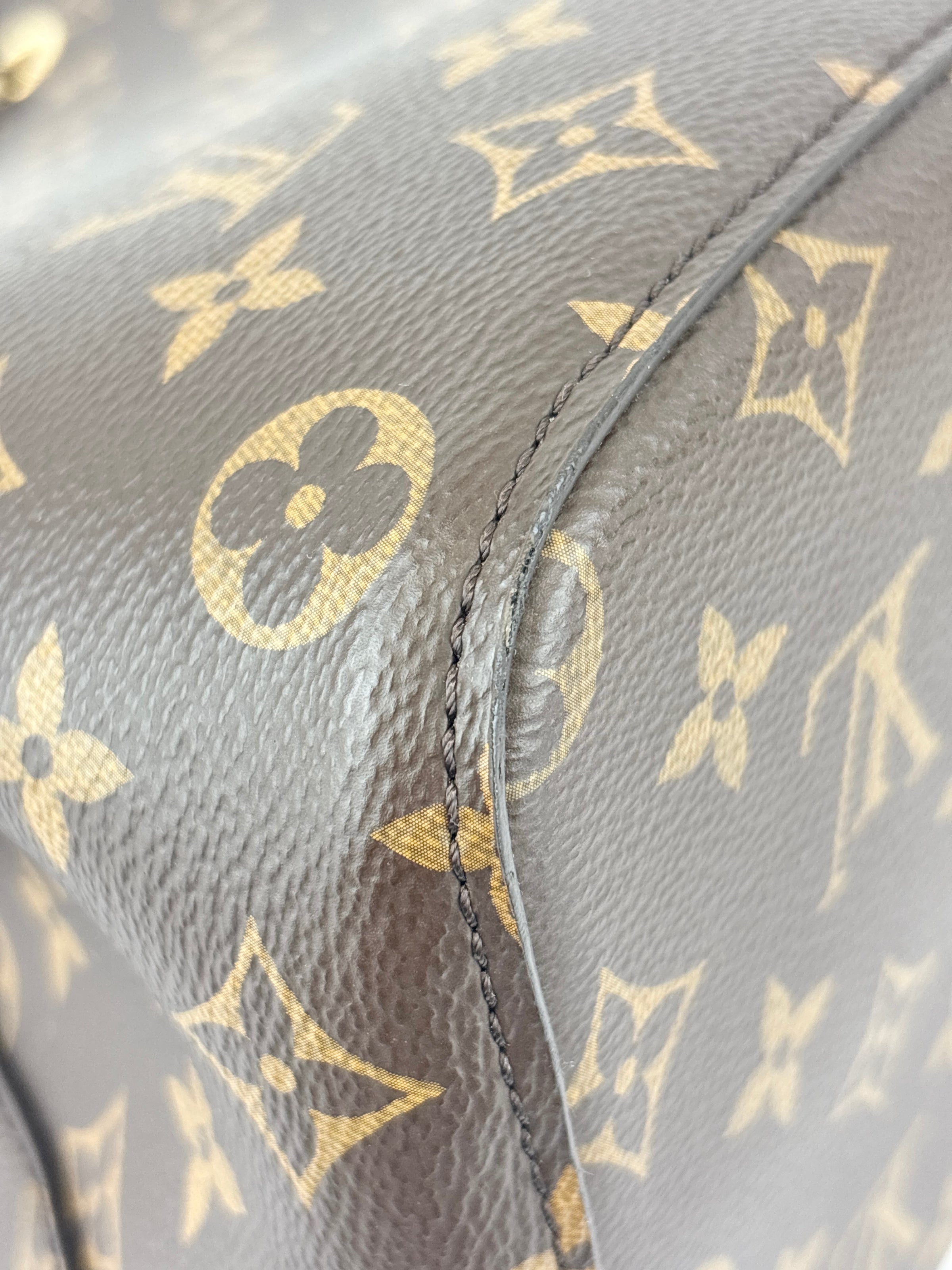 NeoNoe MM in Caramel Monogram Canvas