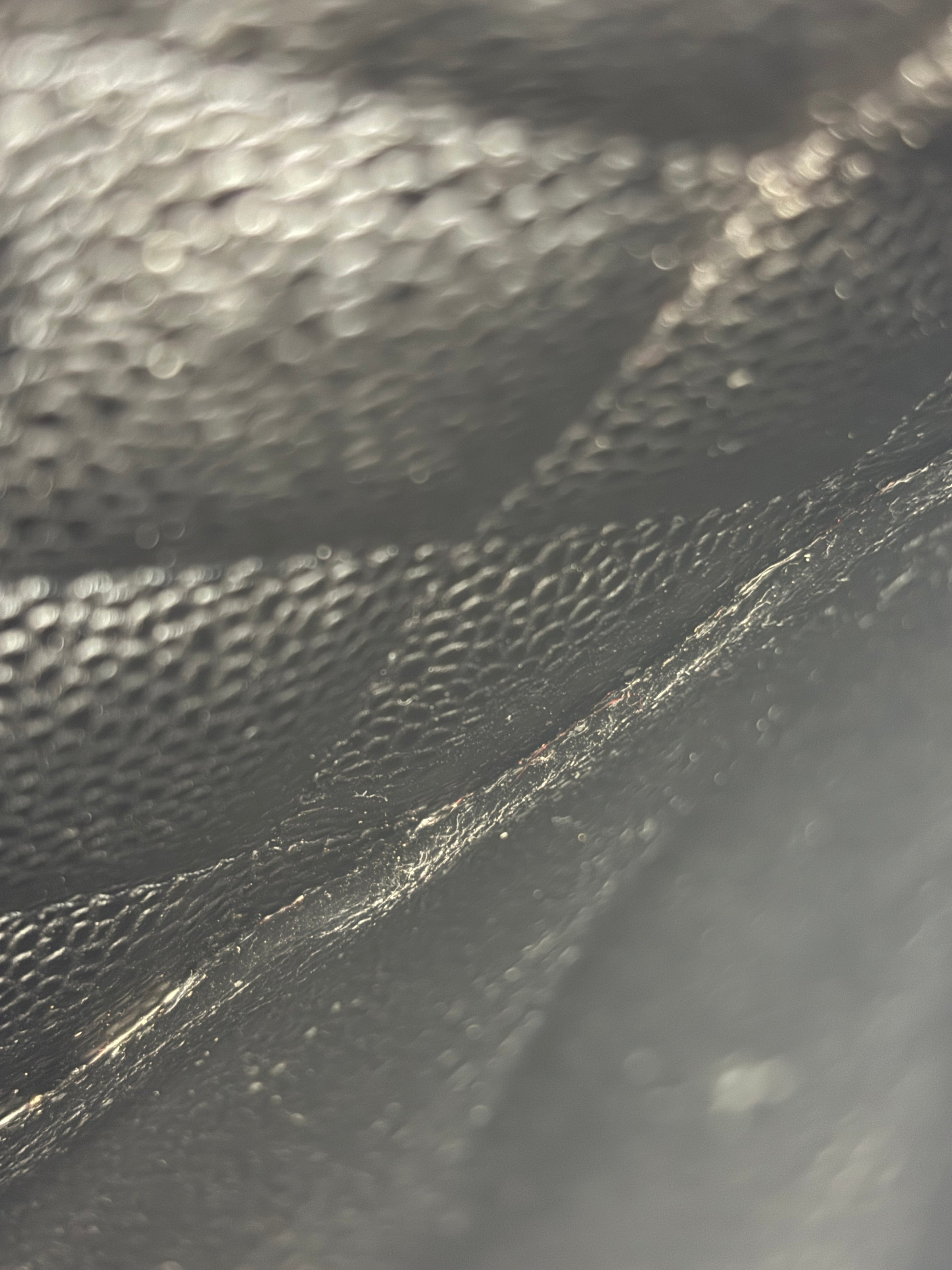 Classic Jumbo Single Flap Black Caviar SHW