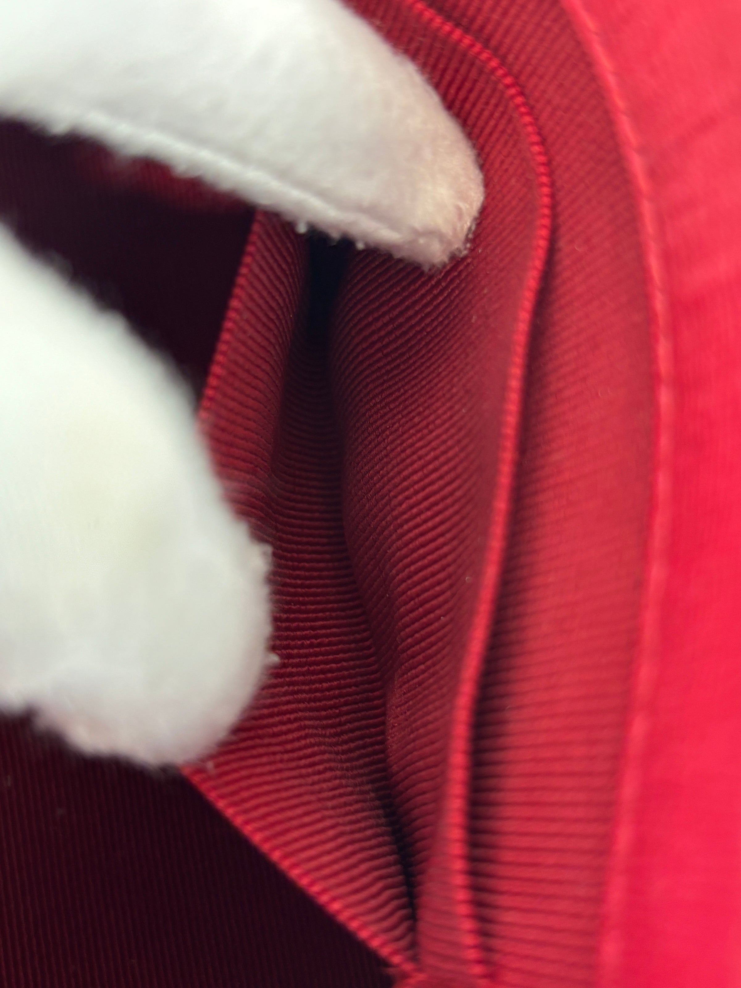 Mini Brava Crossbody Bag in Red Textured Leather