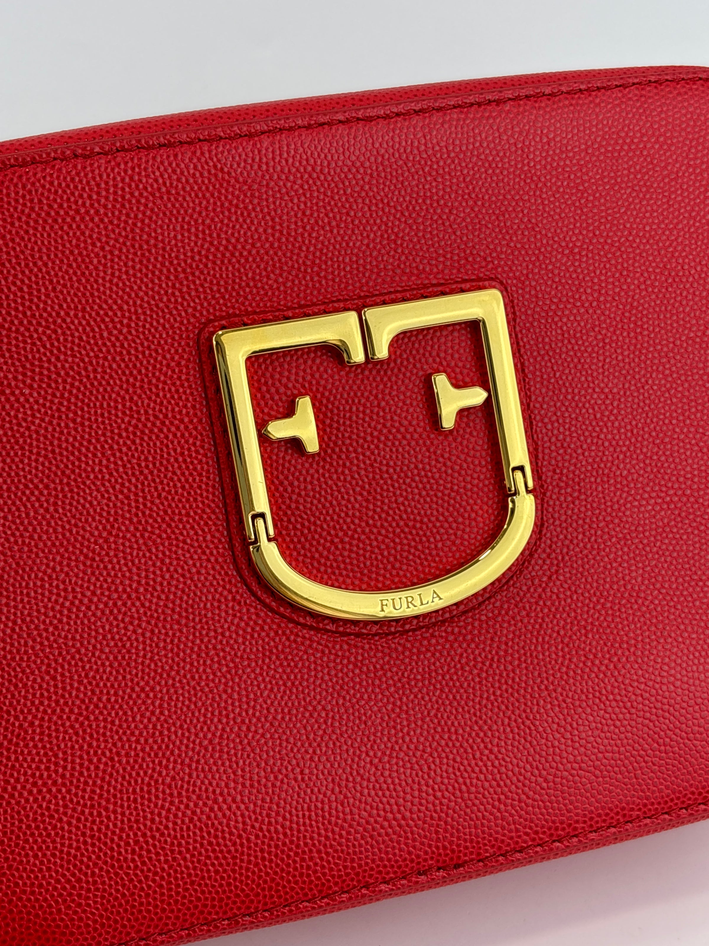 Mini Brava Crossbody Bag in Red Textured Leather