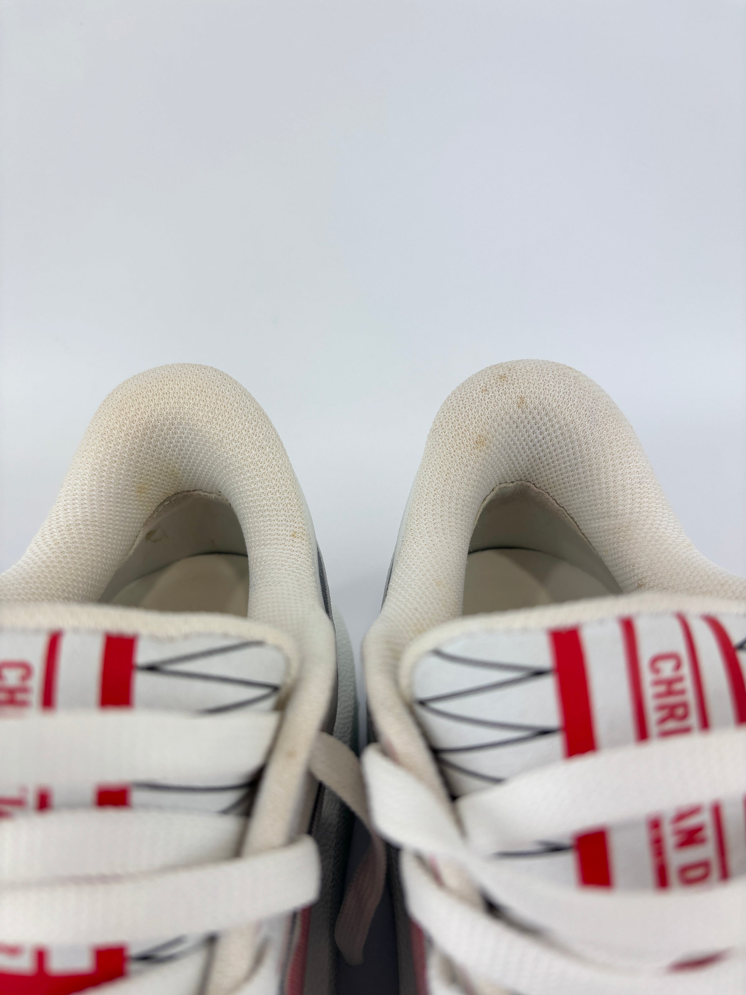 Dioramour Dior Addict Sneakers in Calfskin and Technical Fabric Size 38