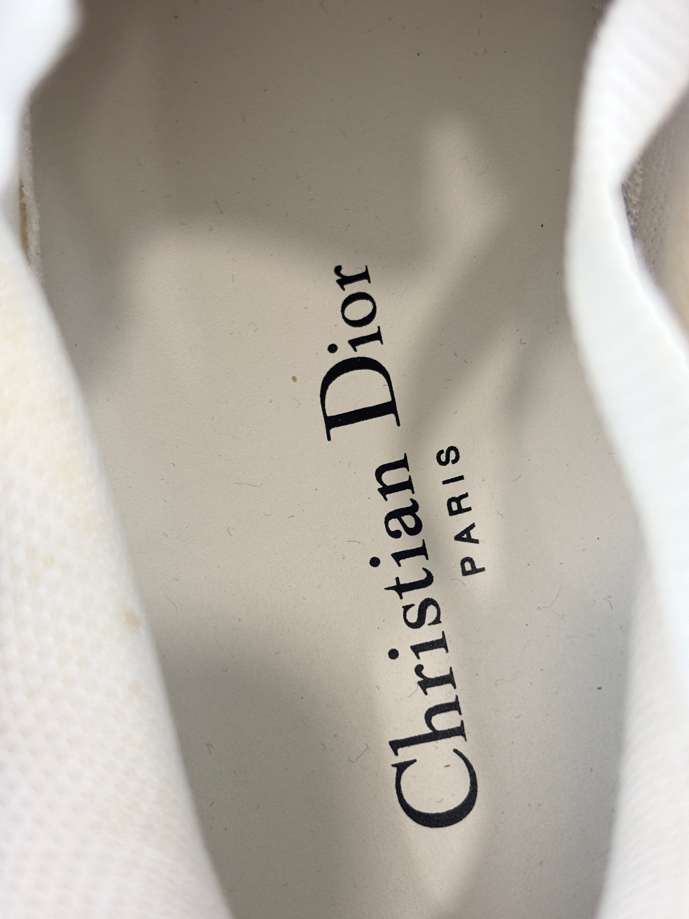 Dioramour Dior Addict Sneakers in Calfskin and Technical Fabric Size 38
