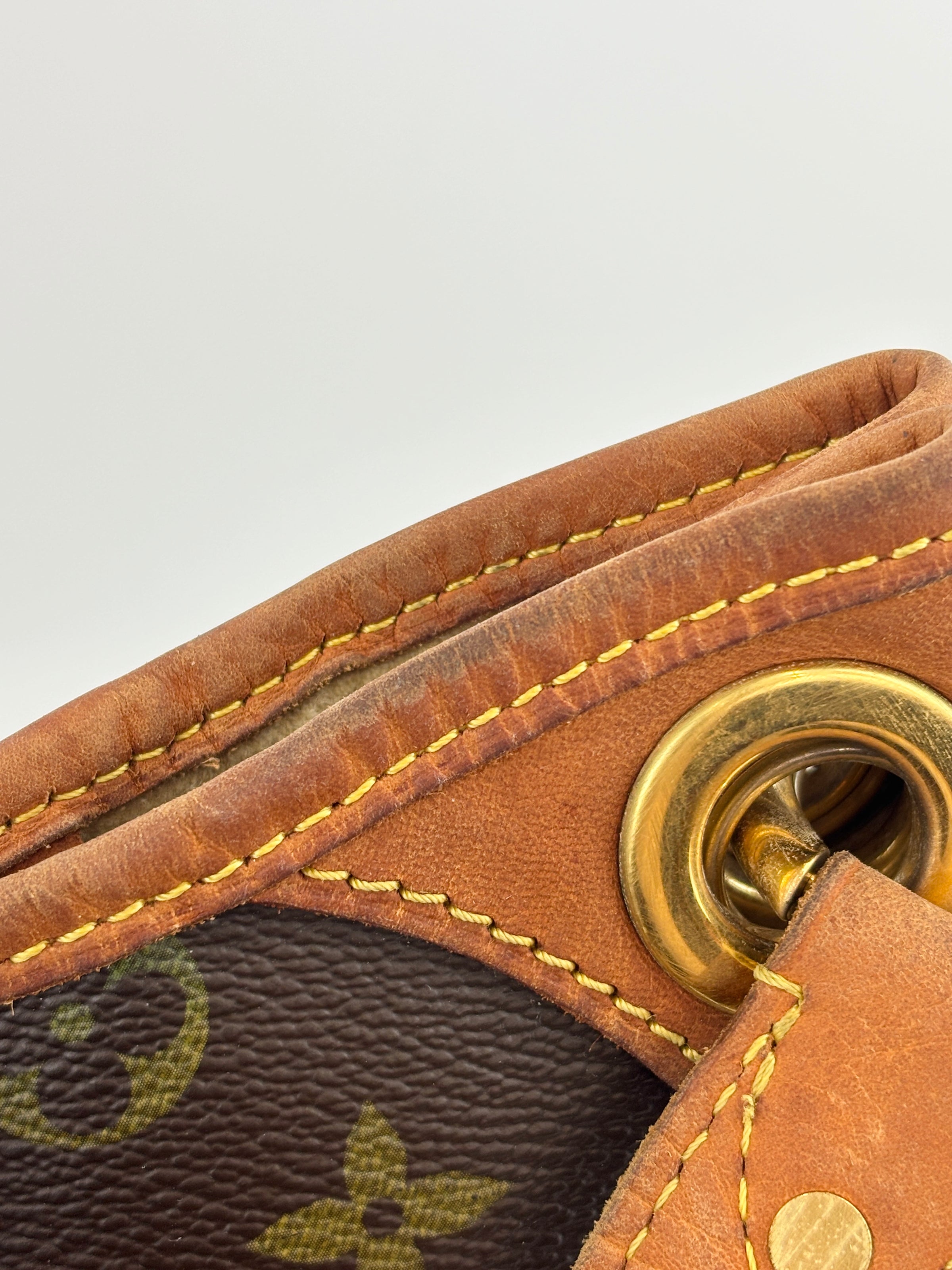 Galliera PM Monogram Canvas