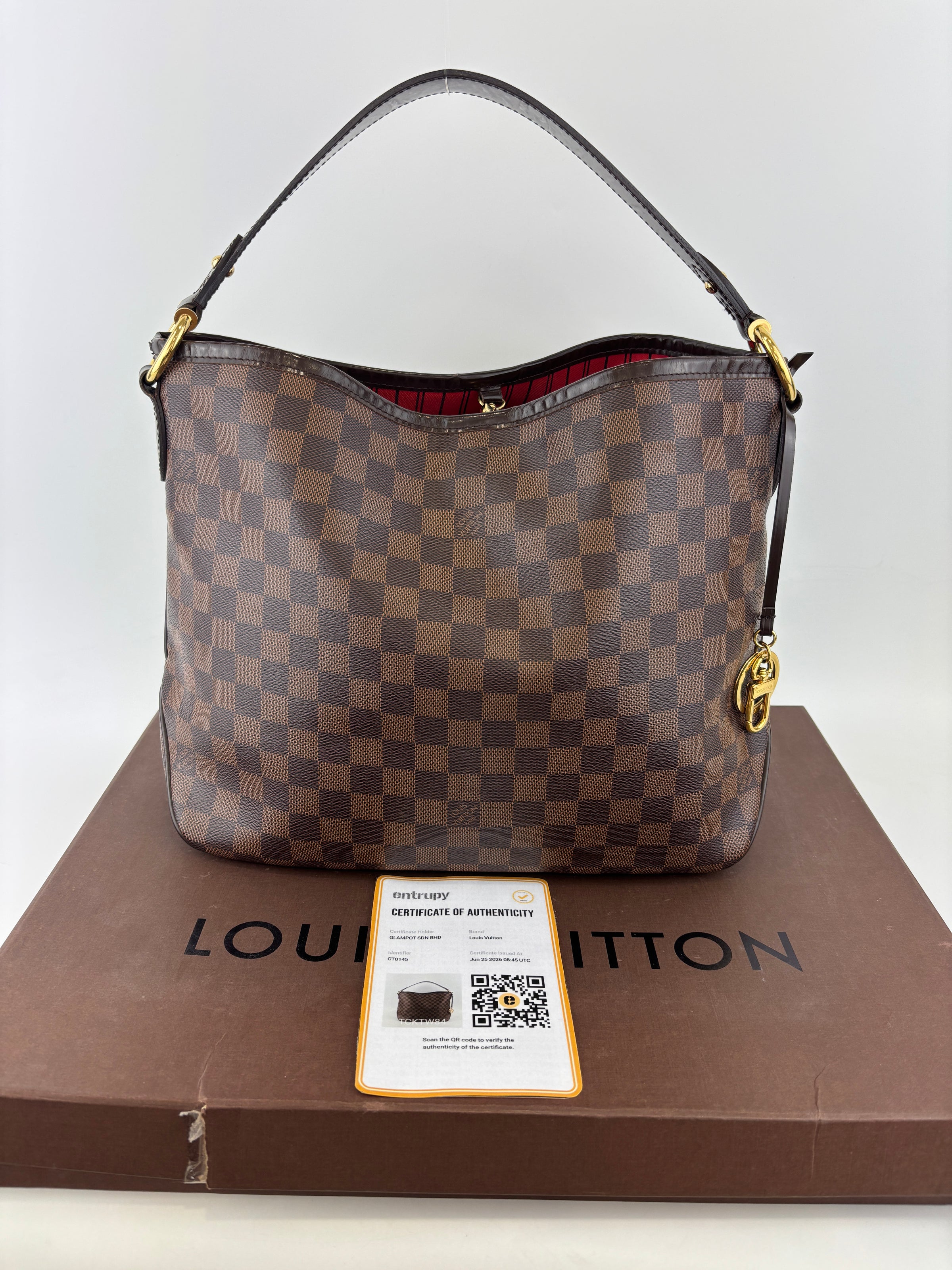 Delightful PM NM Damier Ebene Bag