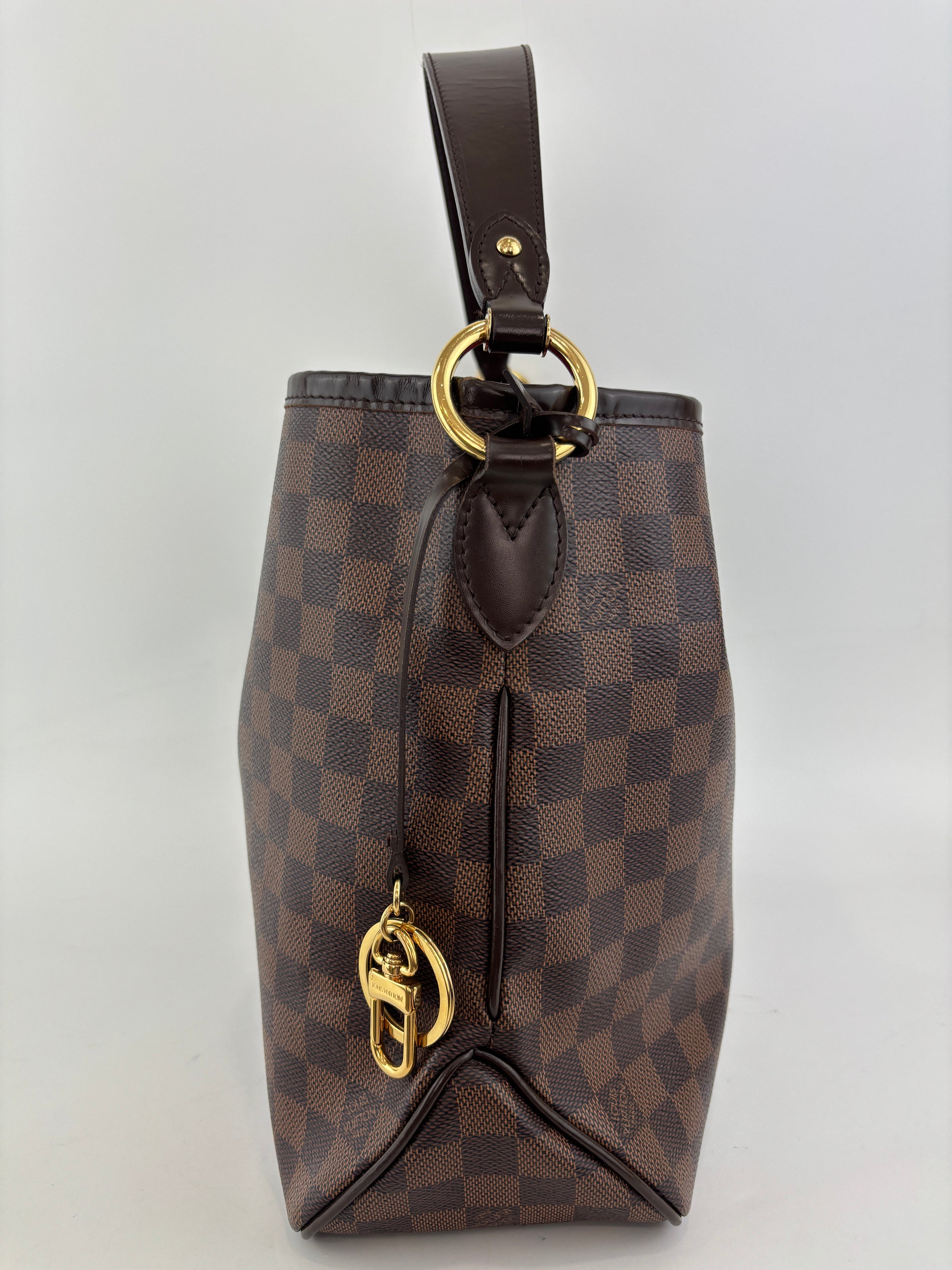 Delightful PM NM Damier Ebene Bag