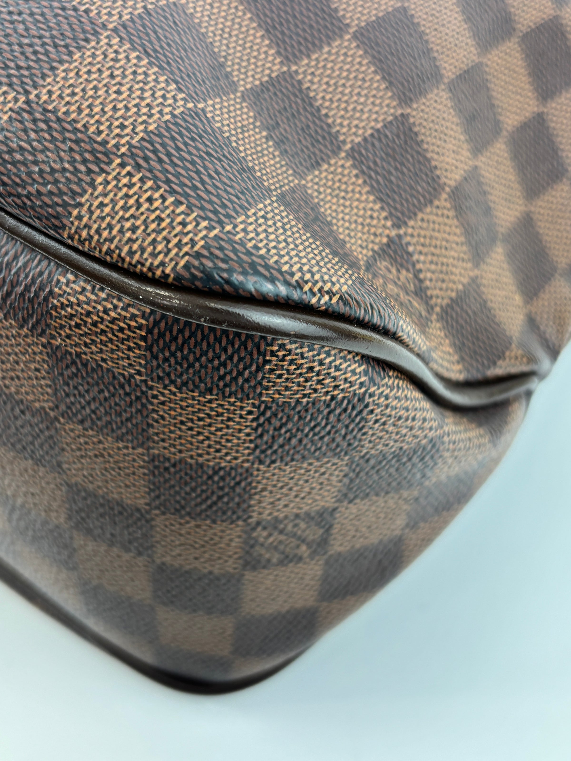 Delightful PM NM Damier Ebene Bag