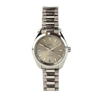 Seamaster Aqua Terra Shades 34mm Steel on Steel in Sandstone