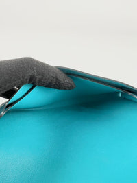 Turquoise Swift Leather Smart Pouch