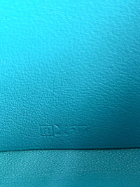 Turquoise Swift Leather Smart Pouch