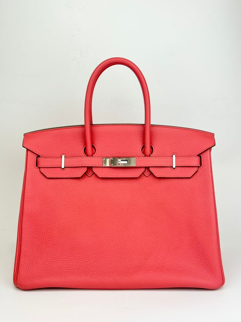 Bougainvillea Clemence Birkin 35 PHW