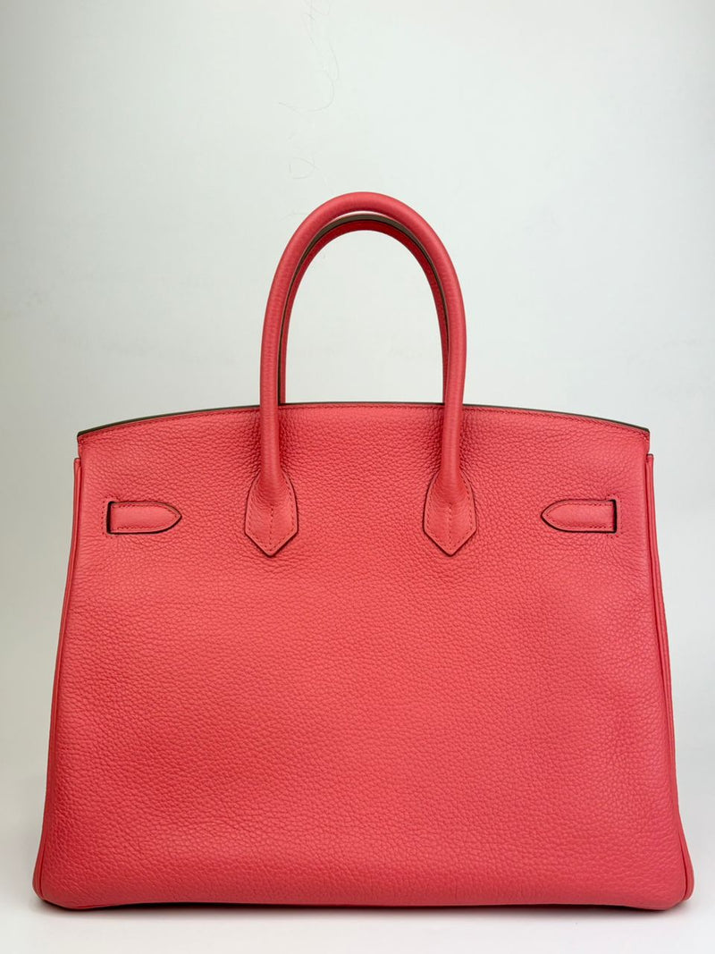 Bougainvillea Clemence Birkin 35 PHW