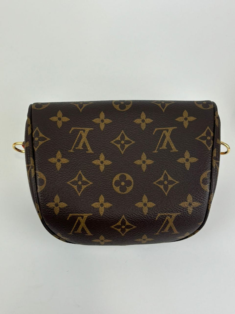 M82335 Monogram Canvas Mini Bum Bag (RFID)