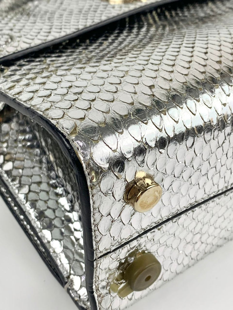 Silver Python Mini Diorever Bag