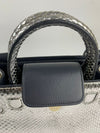 Silver Python Mini Diorever Bag