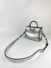 Silver Python Mini Diorever Bag