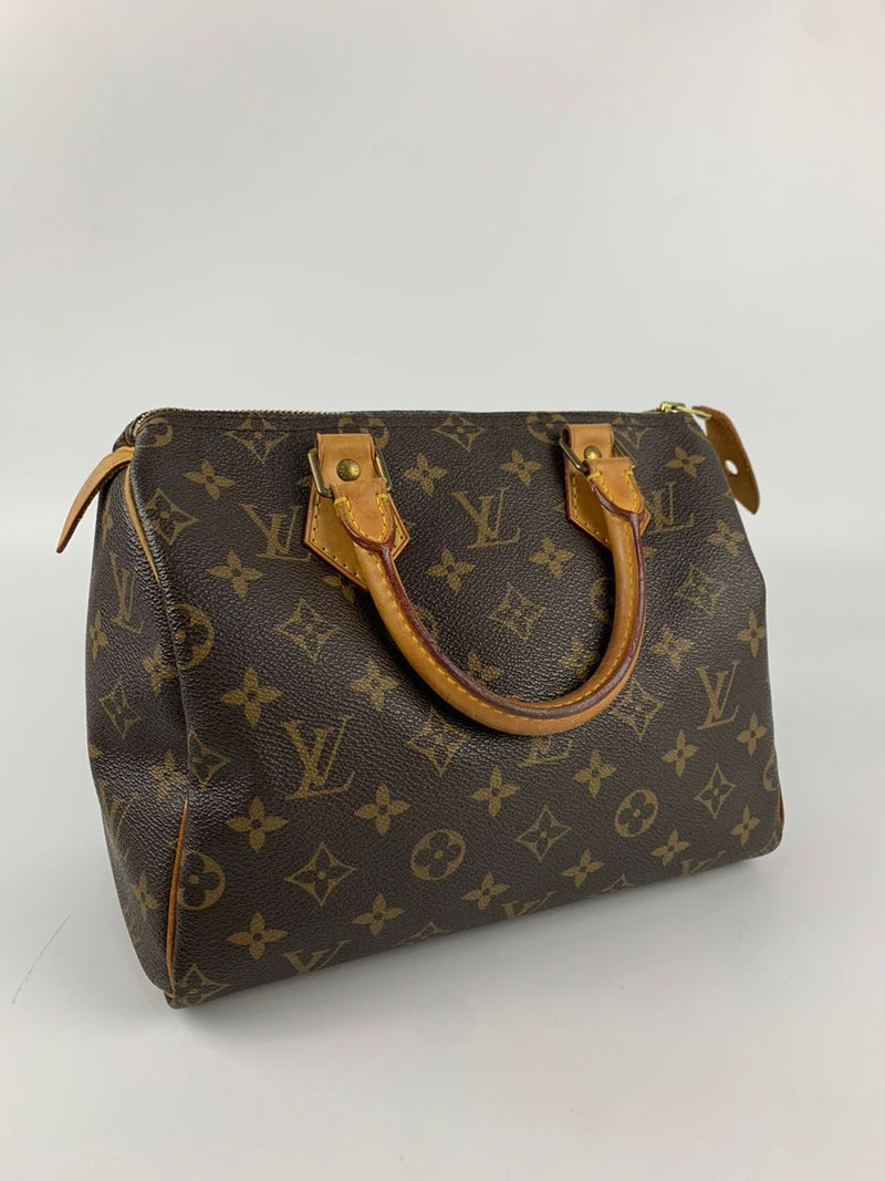 Speedy 25 Monogram Canvas Bag