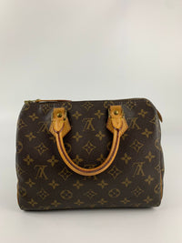 Speedy 25 Monogram Canvas Bag