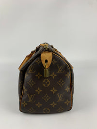 Speedy 25 Monogram Canvas Bag