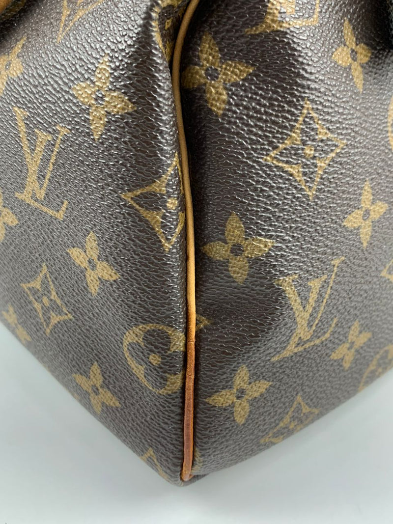 Speedy 25 Monogram Canvas Bag