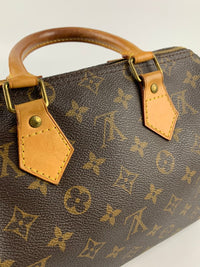 Speedy 25 Monogram Canvas Bag