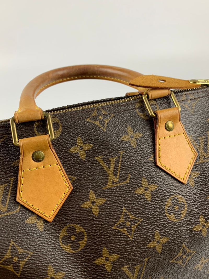 Speedy 25 Monogram Canvas Bag