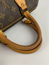 Speedy 25 Monogram Canvas Bag