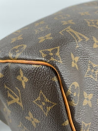 Speedy 25 Monogram Canvas Bag