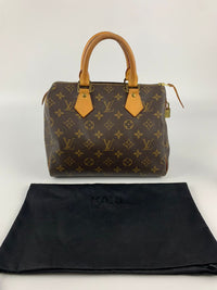 Speedy 25 Monogram Canvas Bag