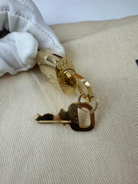 Speedy 20 Bandouliere Monogram Empriente Leather