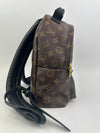 Palm Springs PM Backpack Monogram Canvas (RFID)
