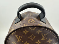 Palm Springs PM Backpack Monogram Canvas (RFID)