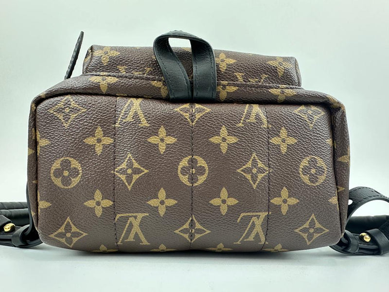 Palm Springs PM Backpack Monogram Canvas (RFID)