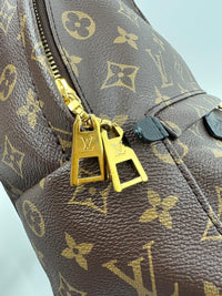 Palm Springs PM Backpack Monogram Canvas (RFID)