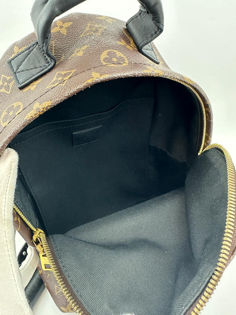 Palm Springs PM Backpack Monogram Canvas (RFID)