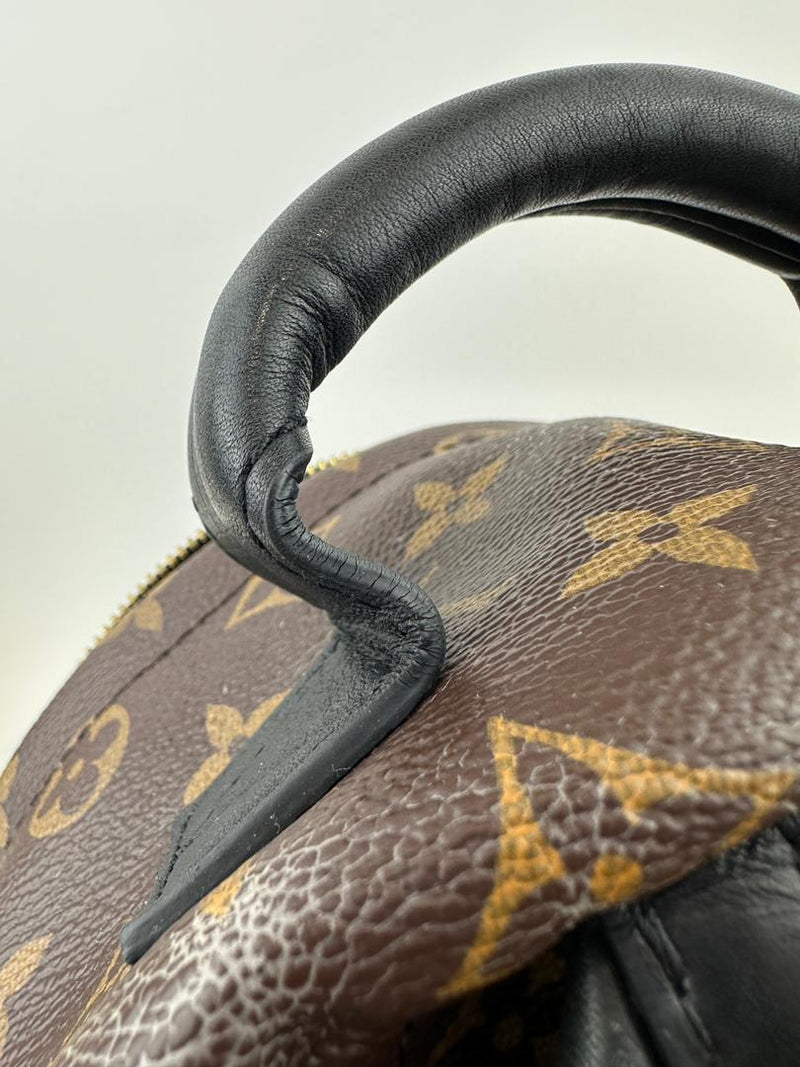 Palm Springs PM Backpack Monogram Canvas (RFID)