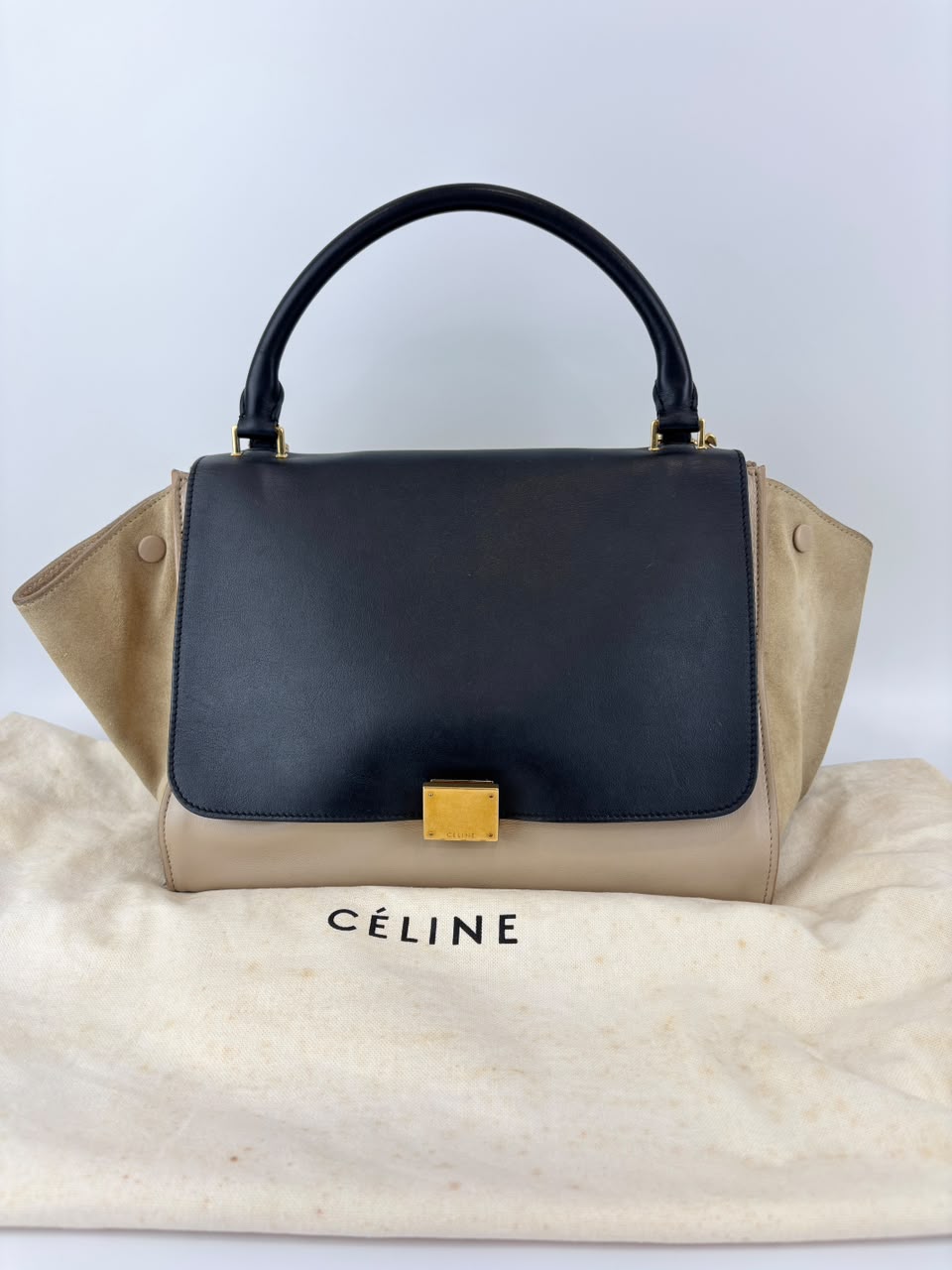 Medium Trapeze Top Handle Bag in Beige / Black Leather and Suede