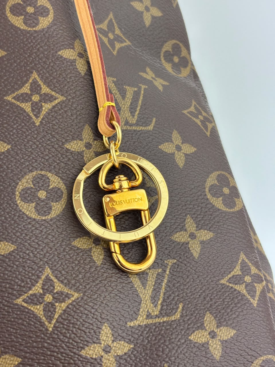 Artsy GM Monogram Canvas