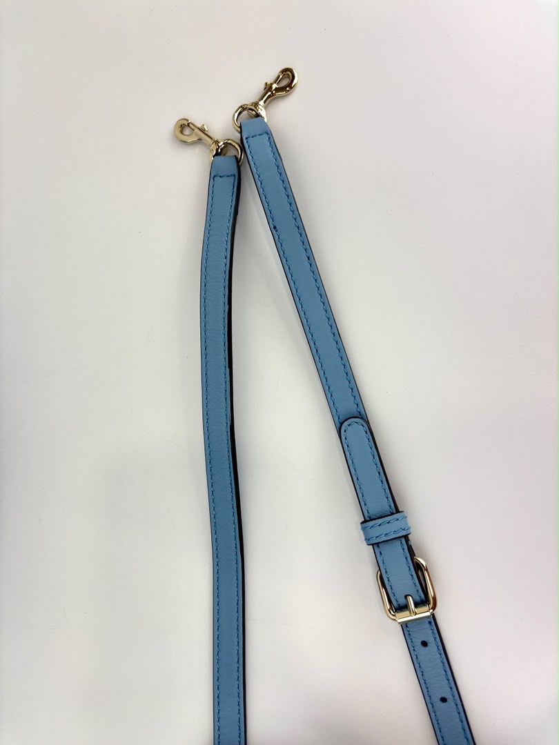Microguccissima Leather Mini Dome Crossbody in Light Blue