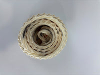 Cream White Multicolor Printed Silk Plisse Scarf 90cm