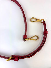 BN2558 Fuoco Saffiano Lux Promenade Bag