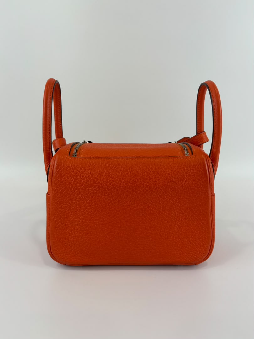 Mini Lindy I Taurillon Clemence Feu PHW