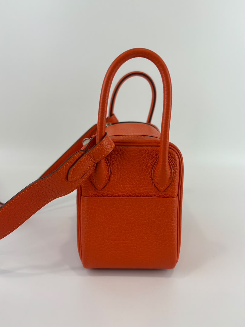 Mini Lindy I Taurillon Clemence Feu PHW