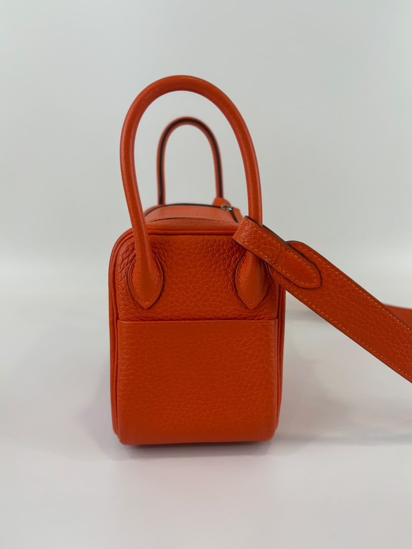 Mini Lindy I Taurillon Clemence Feu PHW
